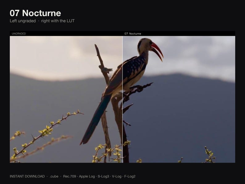 Puede incluir: Una pantalla dividida titulada 07 Nocturne que muestra un p&aacute;jaro con pico rojo posado en una rama. El lado izquierdo est&aacute; marcado como UNGRADED y el derecho como 07 Nocturne. El texto inferior incluye INSTANT DOWNLOAD .cube .Rec.709 .Apple Log .S-Log3 .V-Log .F-Log2.