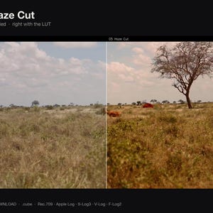 Puede incluir: Una pantalla dividida etiquetada como 05 Haze Cut muestra un paisaje sin editar a la izquierda y una versi&oacute;n con correcci&oacute;n de color a la derecha. La escena presenta una sabana seca con un &aacute;rbol bajo un cielo nublado. El texto incluye 05 Haze Cut, Left ungraded, right with the LUT, INSTANT DOWNLOAD, .cube, Rec.709, Apple Log, S-Log3, V-Log, F-Log2.