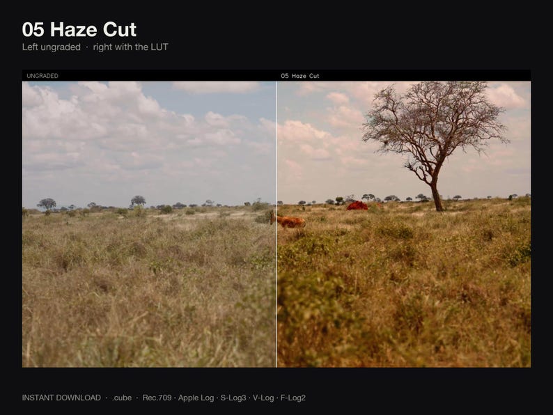 Puede incluir: Una pantalla dividida etiquetada como 05 Haze Cut muestra un paisaje sin editar a la izquierda y una versi&oacute;n con correcci&oacute;n de color a la derecha. La escena presenta una sabana seca con un &aacute;rbol bajo un cielo nublado. El texto incluye 05 Haze Cut, Left ungraded, right with the LUT, INSTANT DOWNLOAD, .cube, Rec.709, Apple Log, S-Log3, V-Log, F-Log2.