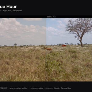 Puede incluir: Una pantalla dividida que muestra un paisaje de sabana con un &aacute;rbol y un animal. El lado izquierdo est&aacute; etiquetado como UNGRADED y el derecho como 02 Blue Hour. El texto 02 Blue Hour e INSTANT DOWNLOAD .xmp presets + profiles Lightroom mobile Lightroom Classic Camera Raw son visibles.