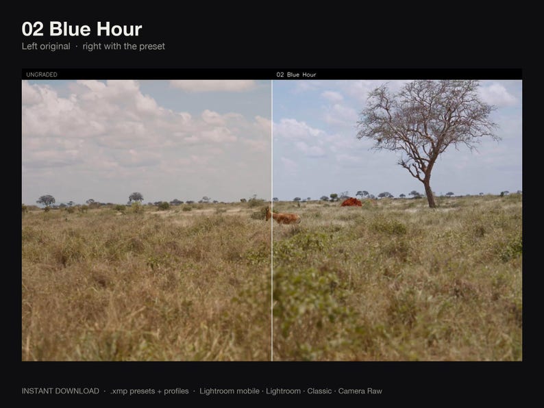Puede incluir: Una pantalla dividida que muestra un paisaje de sabana con un &aacute;rbol y un animal. El lado izquierdo est&aacute; etiquetado como UNGRADED y el derecho como 02 Blue Hour. El texto 02 Blue Hour e INSTANT DOWNLOAD .xmp presets + profiles Lightroom mobile Lightroom Classic Camera Raw son visibles.