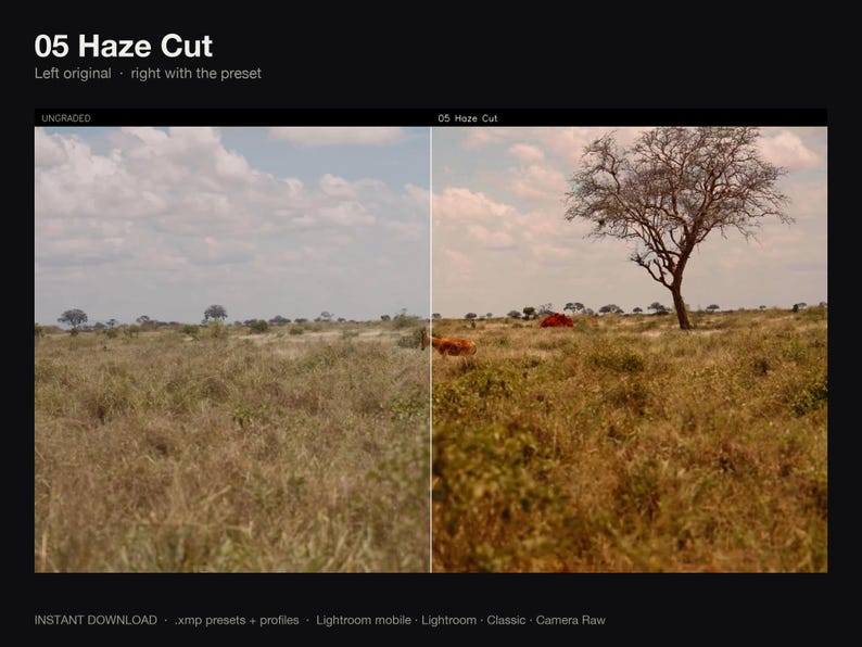Puede incluir: Una pantalla dividida que muestra un paisaje con hierba seca y un &aacute;rbol. El lado izquierdo est&aacute; etiquetado como UNGRADED y el derecho como 05 Haze Cut. El texto 05 Haze Cut, Left original, right with the preset, y INSTANT DOWNLOAD .xmp presets + profiles, Lightroom mobile, Lightroom, Classic, Camera Raw son visibles.