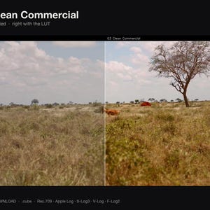 Puede incluir: Una pantalla dividida que muestra un paisaje con hierba seca y un &aacute;rbol. El lado izquierdo est&aacute; etiquetado como UNGRADED y el derecho como 03 Clean Commercial. El texto superior dice 03 Clean Commercial, Left ungraded, right with the LUT.