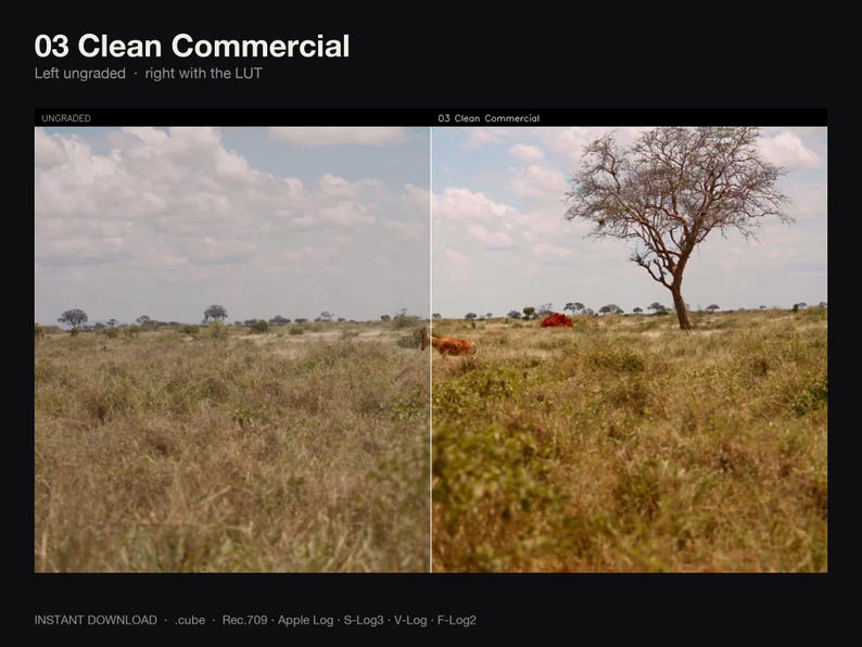Puede incluir: Una pantalla dividida que muestra un paisaje con hierba seca y un &aacute;rbol. El lado izquierdo est&aacute; etiquetado como UNGRADED y el derecho como 03 Clean Commercial. El texto superior dice 03 Clean Commercial, Left ungraded, right with the LUT.