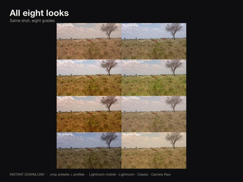 Puede incluir: Una pantalla digital que muestra ocho variaciones de una fotograf&iacute;a de paisaje con un &aacute;rbol solitario en un campo de hierba bajo un cielo azul. Las etiquetas incluyen All eight looks, Same shot, eight grades y compatibilidad de software.