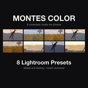 Puede incluir: MONTES COLOR 8 cinematic looks for photos. Una colecci&oacute;n digital de 8 ajustes preestablecidos de Lightroom para m&oacute;vil y escritorio. El gr&aacute;fico muestra ocho im&aacute;genes variadas de paisajes y vida silvestre con aves y escenas de sabana.