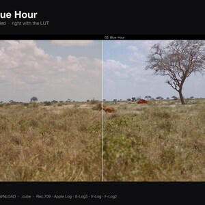 Puede incluir: Una imagen comparativa de pantalla dividida titulada 02 Blue Hour, que muestra un paisaje de sabana. El lado izquierdo est&aacute; marcado como UNGRADED, y el derecho como 02 Blue Hour, mostrando una versi&oacute;n corregida con tonos azules.