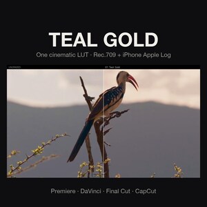 Puede incluir: Una pantalla de producto digital titulada TEAL GOLD, One cinematic LUT, Rec.709 + iPhone Apple Log. La imagen muestra una comparación en pantalla dividida de un pájaro posado en una rama, con el lado izquierdo sin editar y el derecho con color.
