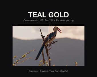 Puede incluir: Una pantalla de producto digital titulada TEAL GOLD, One cinematic LUT, Rec.709 + iPhone Apple Log. La imagen muestra una comparación en pantalla dividida de un pájaro posado en una rama, con el lado izquierdo sin editar y el derecho con color.