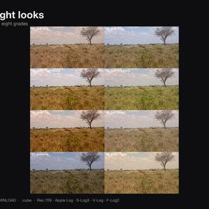 Puede incluir: Un gr&aacute;fico digital titulado All eight looks, Same shot, eight grades, que muestra ocho variaciones de una fotograf&iacute;a de paisaje con un &aacute;rbol en un campo bajo un cielo azul. El texto incluye .cube, Rec.709, Apple Log, S-Log3, V-Log, F-Log2.
