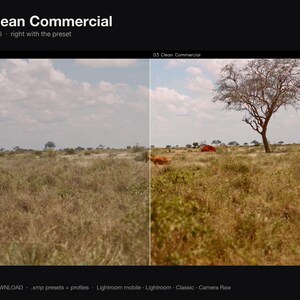 Puede incluir: Una pantalla dividida que muestra un paisaje de sabana con un &aacute;rbol y un animal. El lado izquierdo est&aacute; etiquetado como UNGRADED y el derecho como 03 Clean Commercial. El texto 03 Clean Commercial aparece arriba, con INSTANT DOWNLOAD .xmp presets + profiles Lightroom mobile Lightroom Classic Camera Raw abajo.