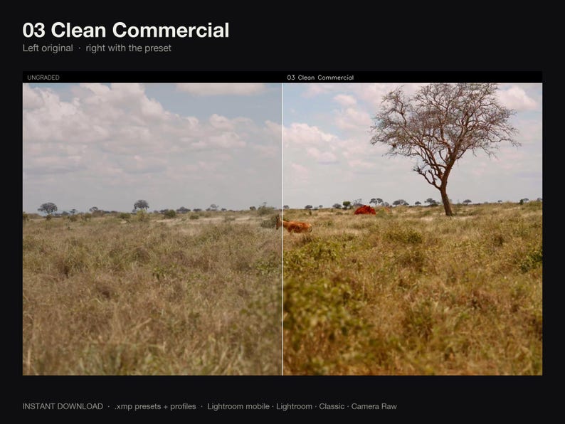Puede incluir: Una pantalla dividida que muestra un paisaje de sabana con un &aacute;rbol y un animal. El lado izquierdo est&aacute; etiquetado como UNGRADED y el derecho como 03 Clean Commercial. El texto 03 Clean Commercial aparece arriba, con INSTANT DOWNLOAD .xmp presets + profiles Lightroom mobile Lightroom Classic Camera Raw abajo.
