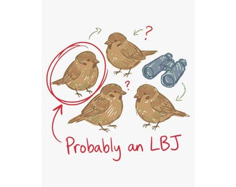 Funny Birding Poster, Probably an LBJ Birdwatching Wall Art, Little Brown Birds Sketchbook Print
