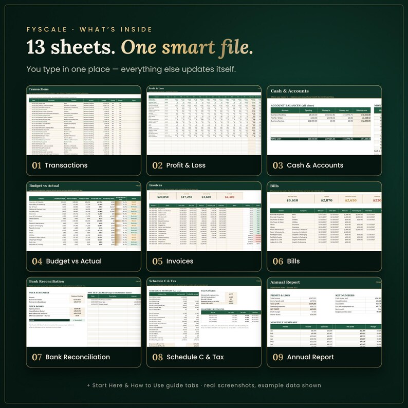 Inside the small business bookkeeping spreadsheet: 13 tabs including Transactions, Profit & Loss, Cash & Accounts, Budget vs Actual, Invoices, Bills, Bank Reconciliation, Schedule C & Tax, Annual Report