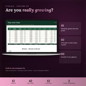 Profit and loss spreadsheet feature – Are you really growing? Revenue, gross and net profit; This year vs last, every month; Growth % at a glance.