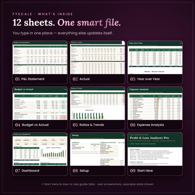 Inside the profit and loss spreadsheet: 12 tabs including P&L Statement, Actual, Year over Year, Budget vs Actual, Ratios & Trends, Expense Analysis, Dashboard, Setup, Start Here