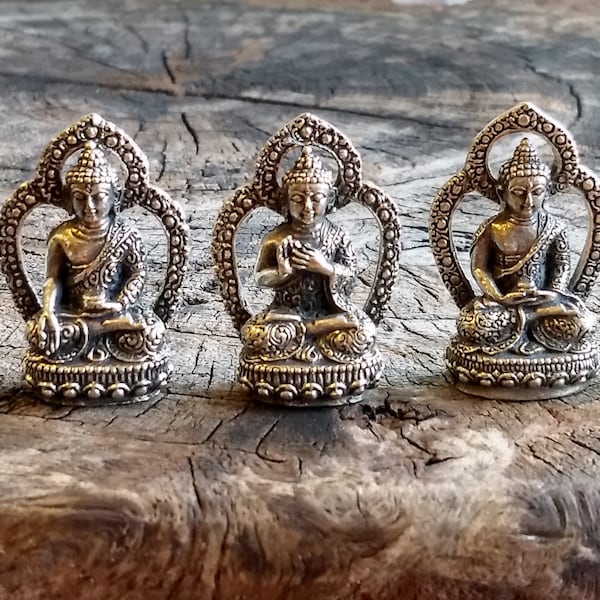 Pancha Buddha Set Brass Statuette Travel Altar Meditation Shrine Statues