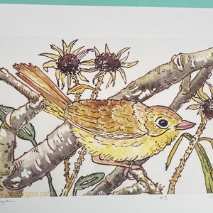 Common Yellow Throat Archival Print, by Michelle Kogan, For All Bird Lovers, Giclée, Bring Nature Inside, Wildflowers, Lively Print image 1