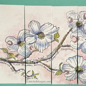 Virginia Flowering Dogwood Bookmarks, by Michelle Kogan, Books and Accessories, Birthday, Stocking stuffers, Flowers, Art & Collectibles image 1