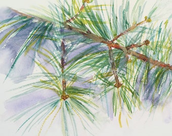 Scotch Pine Holiday Greeting Card, by Michelle Kogan, Christmas, New Years, Birthday, Watercolor, Evergreen Holiday, Painting, Blank