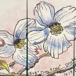 Virginia Flowering Dogwood Bookmarks, by Michelle Kogan, Books and Accessories, Birthday, Stocking stuffers, Flowers, Art & Collectibles image 3