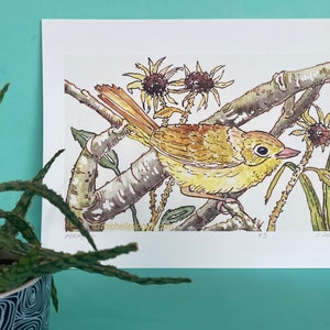 Common Yellow Throat Archival Print, by Michelle Kogan, For All Bird Lovers, Giclée, Bring Nature Inside, Wildflowers, Lively Print image 7