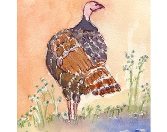 Wild Turkey Archival Print, By Michelle Kogan, Art and Collectibles, Watercolor, Thanks Giving, Autumn, Blue, Gray, Brown, Painting, Drawing