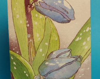 Blue Crocus Passover Card, by Michelle Kogan, First Blues in Spring, For Everyone, Hag Pesach Same'ach! Spring Beginnings, Fresh Watercolor