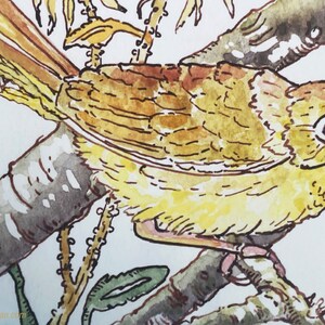 Common Yellow Throat Archival Print, by Michelle Kogan, For All Bird Lovers, Giclée, Bring Nature Inside, Wildflowers, Lively Print image 2
