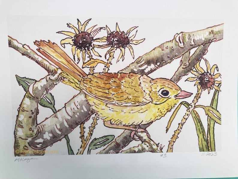 Common Yellow Throat Archival Print, by Michelle Kogan, For All Bird Lovers, Giclée, Bring Nature Inside, Wildflowers, Lively Print image 6