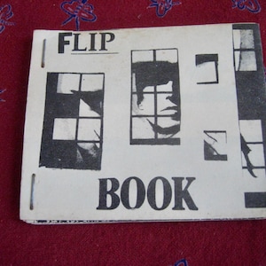 Flip Book, Steven Ruhl, good condition, pub date unknown
