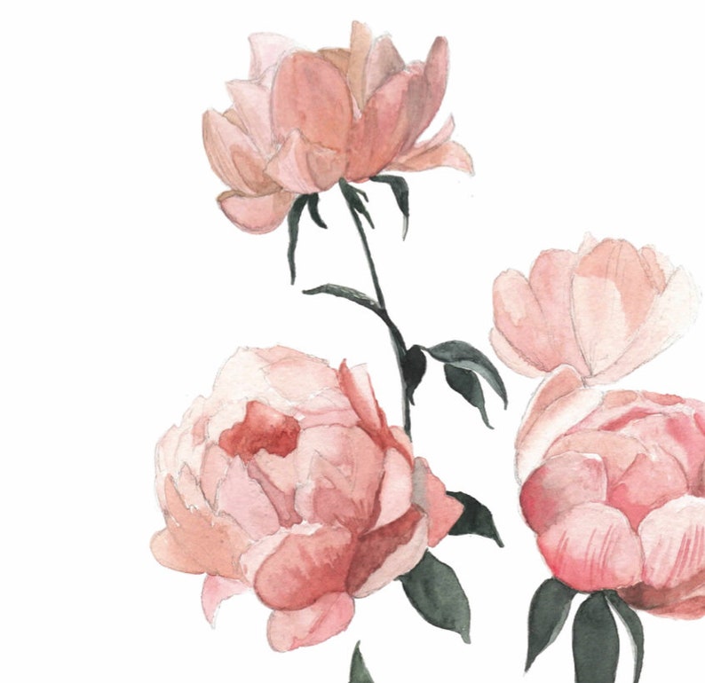 Stampa artistica di fiori rosa / peonie acquerello / arredamento blush, arredamento della scuola materna, arte della parete della scuola materna, camera delle ragazze, arredamento del giardino, rosa, regalo bambina immagine 4