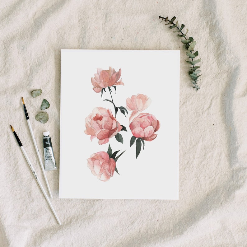 pink flowers art, peonies watercolor flowers, blush artwork decor, coley kuyper art