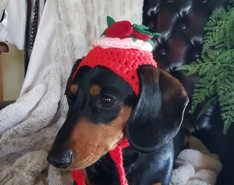 Felt Rose Mini Brim Hat for Dogs or Cats