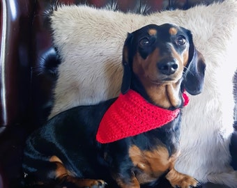 Basic Bandana for Dogs or Cats