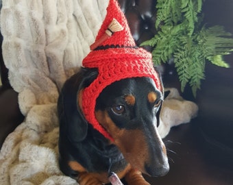 Red Witch Halloween Hat for Dogs or Cats