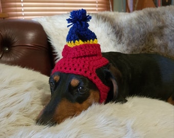 Footy Beanie Hat for Dogs or Cats