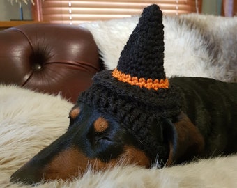 Witch Halloween Hat for Dogs or Cats