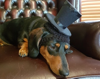 Groom Top Hat for Dogs or Cats, Wedding or Racing Day Hat