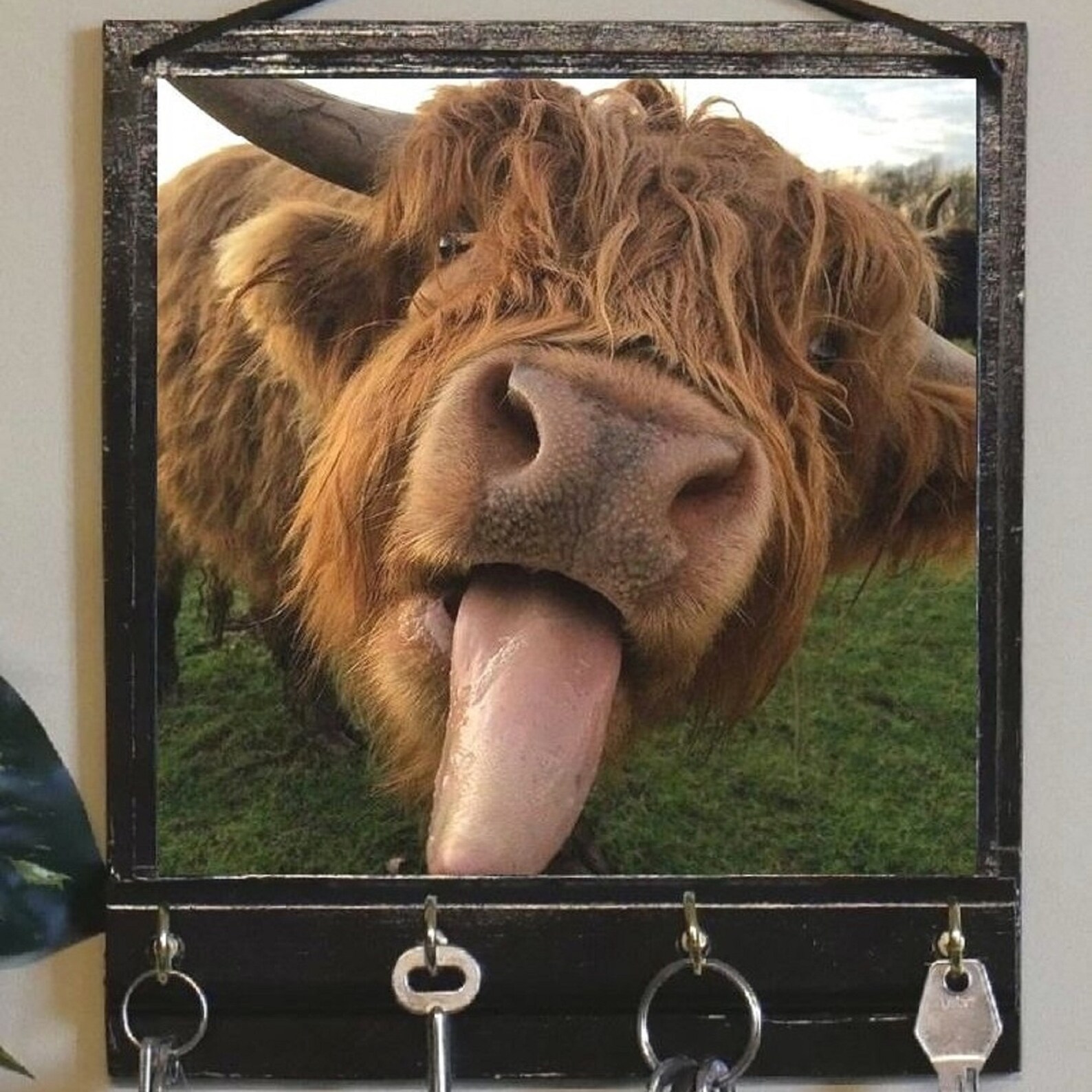 Cow Letter Rack Highland Cow Print, Key Rack Holder or Jewellery Organiser - Etsy