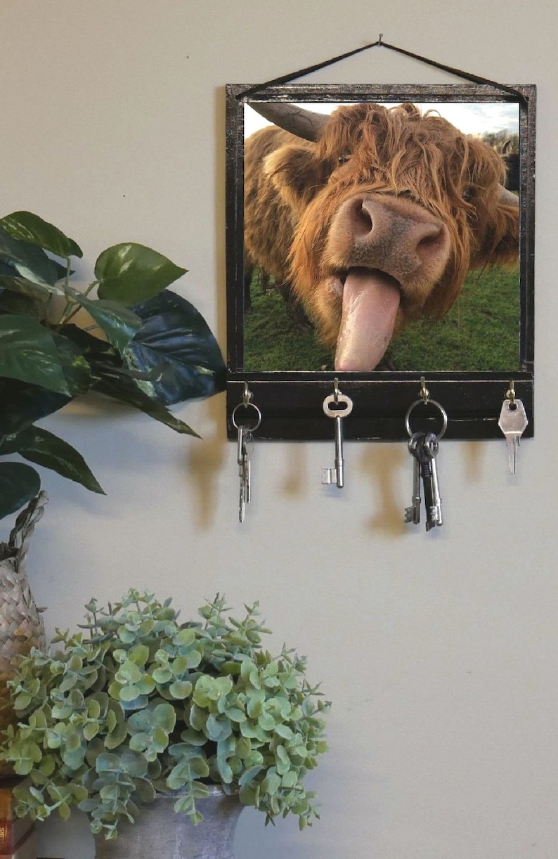 Highland Cow Print Key Rack Holder or Jewellery Organiser | Etsy