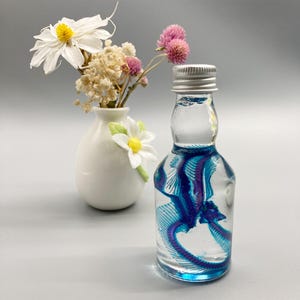 May include: A clear glass bottle with a silver screw cap containing a blue and purple skeletal specimen suspended in liquid, positioned next to a small white ceramic vase holding a bouquet of white and pink dried flowers.