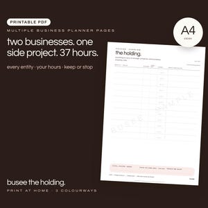 A4 Multiple Business Planner, Time Budget & Weekly Planning PDF | BUSEE