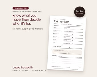 Pocket Budget Planner Inserts, Net Worth, Savings & Debt PDF | BUSEE The Wealth