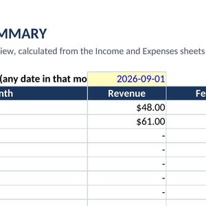 May include: A Monthly Summary spreadsheet table showing financial data with columns for Month, Revenue, Fees, and Other Expenses. The table displays rows starting from 2026-09 with specific dollar amounts and dashes for empty cells.