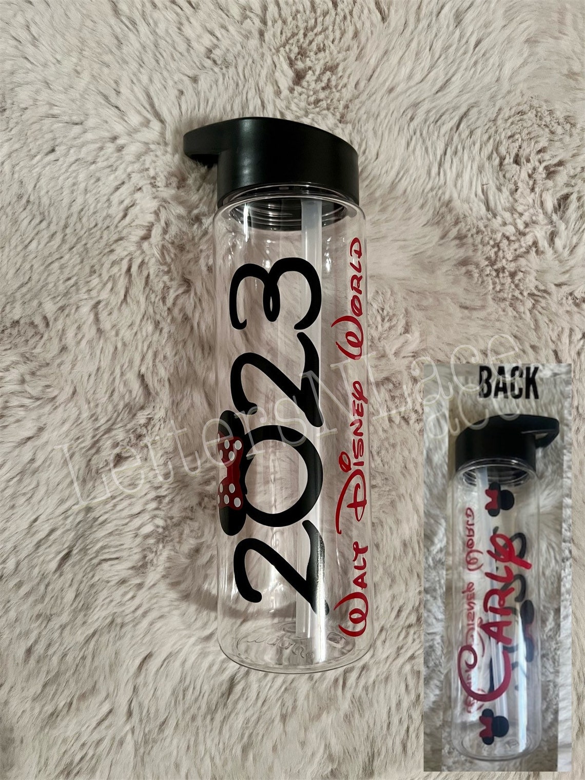 Disney World Water Bottle Disney Bottle Disneyland Water Etsy