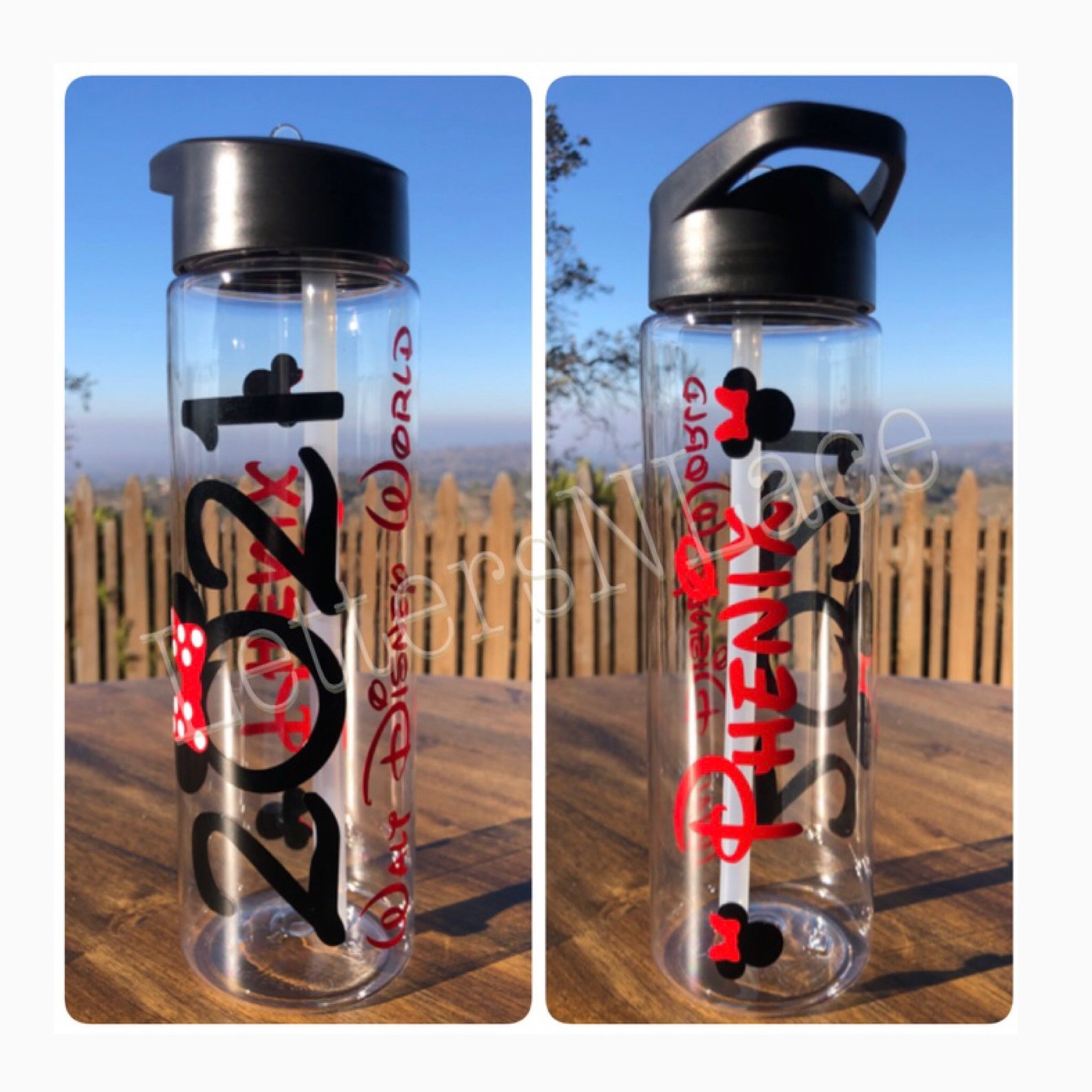 Disney World Water Bottle Disney Bottle Disneyland Water Etsy