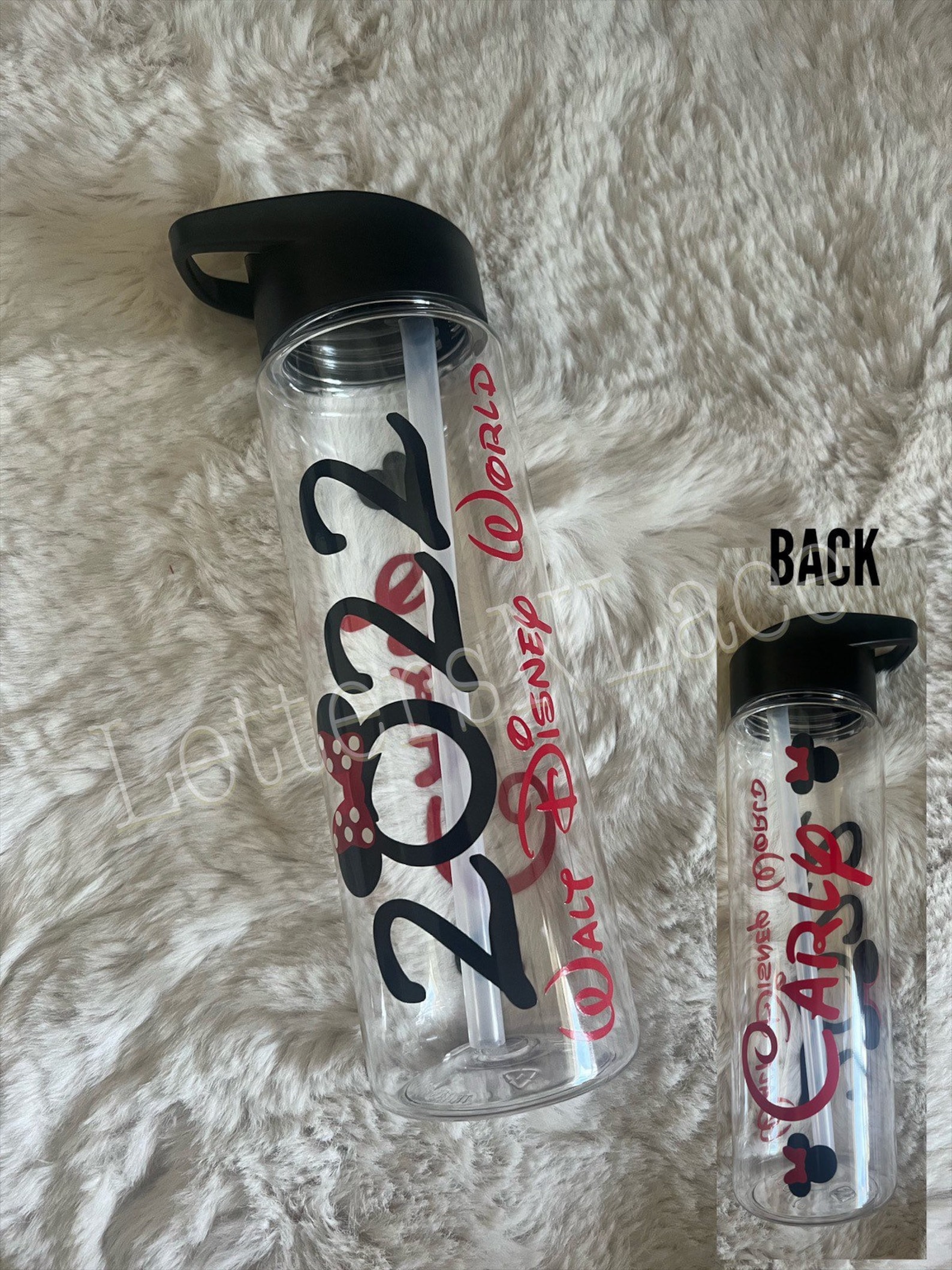 Disney World Water Bottle Disney Bottle Disneyland Water Etsy