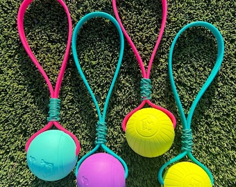 Biothane Dog Tug and Fetch Toy with Chew King Ball