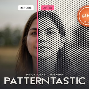 May include: A split-screen graphic showing a before and after effect. The left side displays a natural photograph of a person, while the right side shows the same image transformed with black and white diagonal lines. Text includes GIMP PLUG-IN and PATTERNTASTIC.